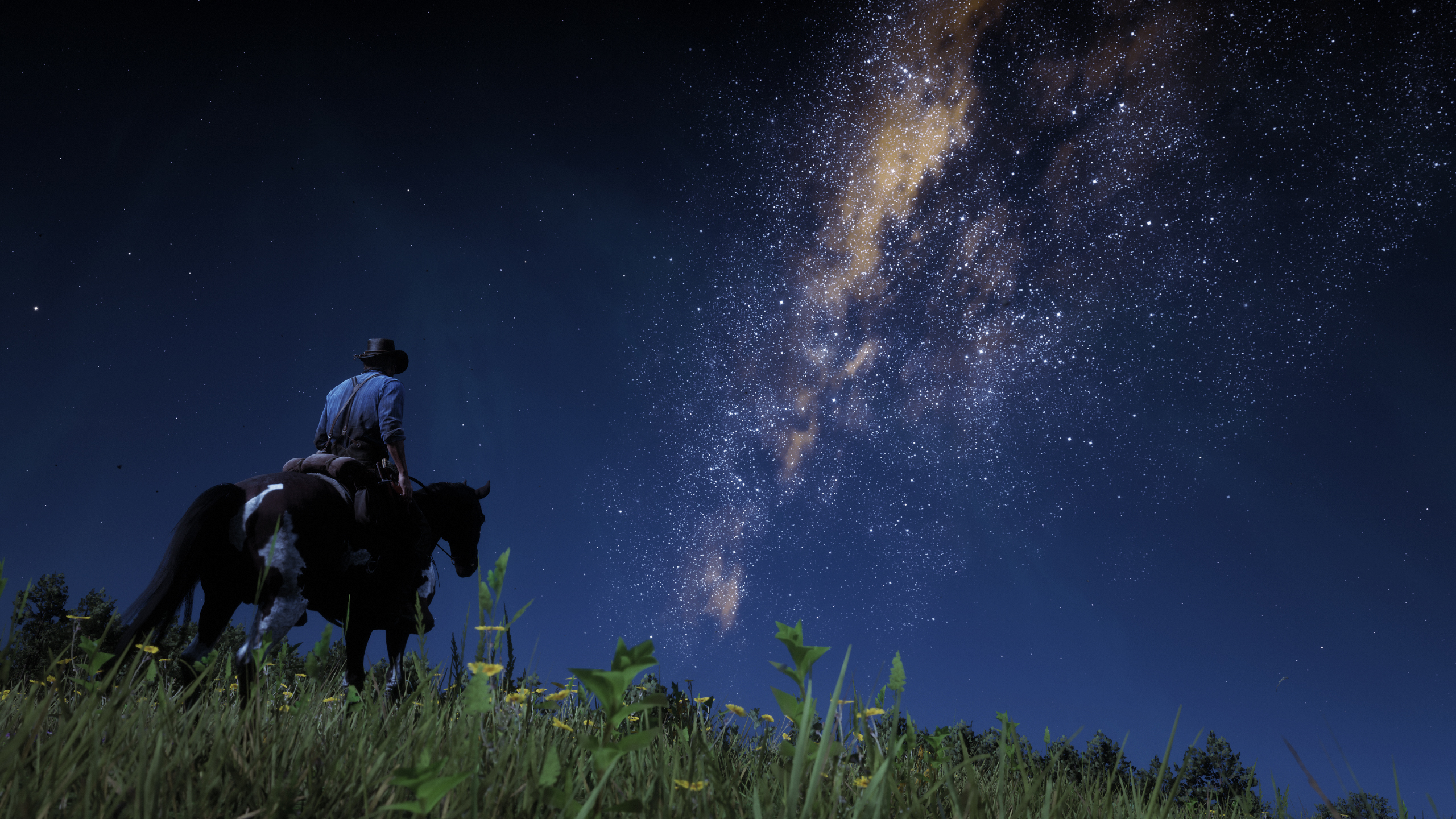 Red Dead Redemption 2 Screenshot 2